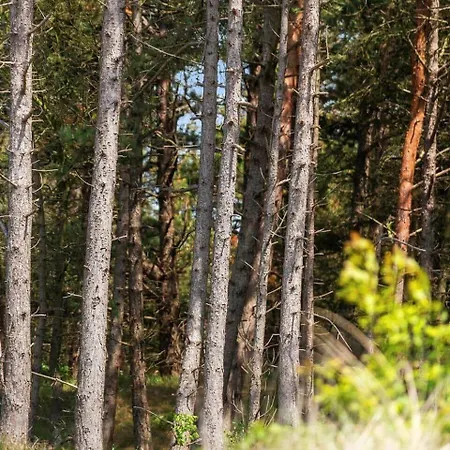 Nyaraló 2551-romo-chresten-krommes-vej-5 *